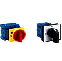 Rotary switches