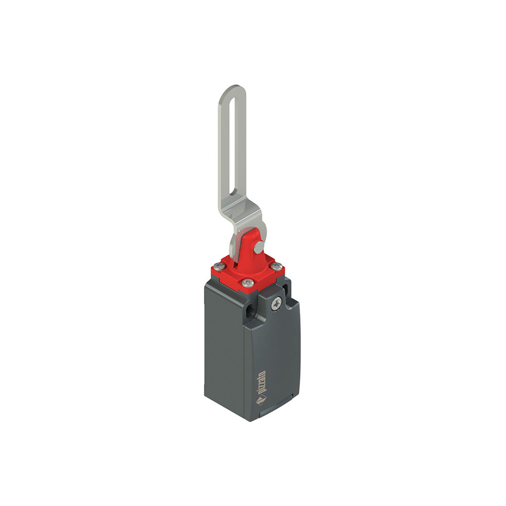 Pizzato FM 33C2-M2