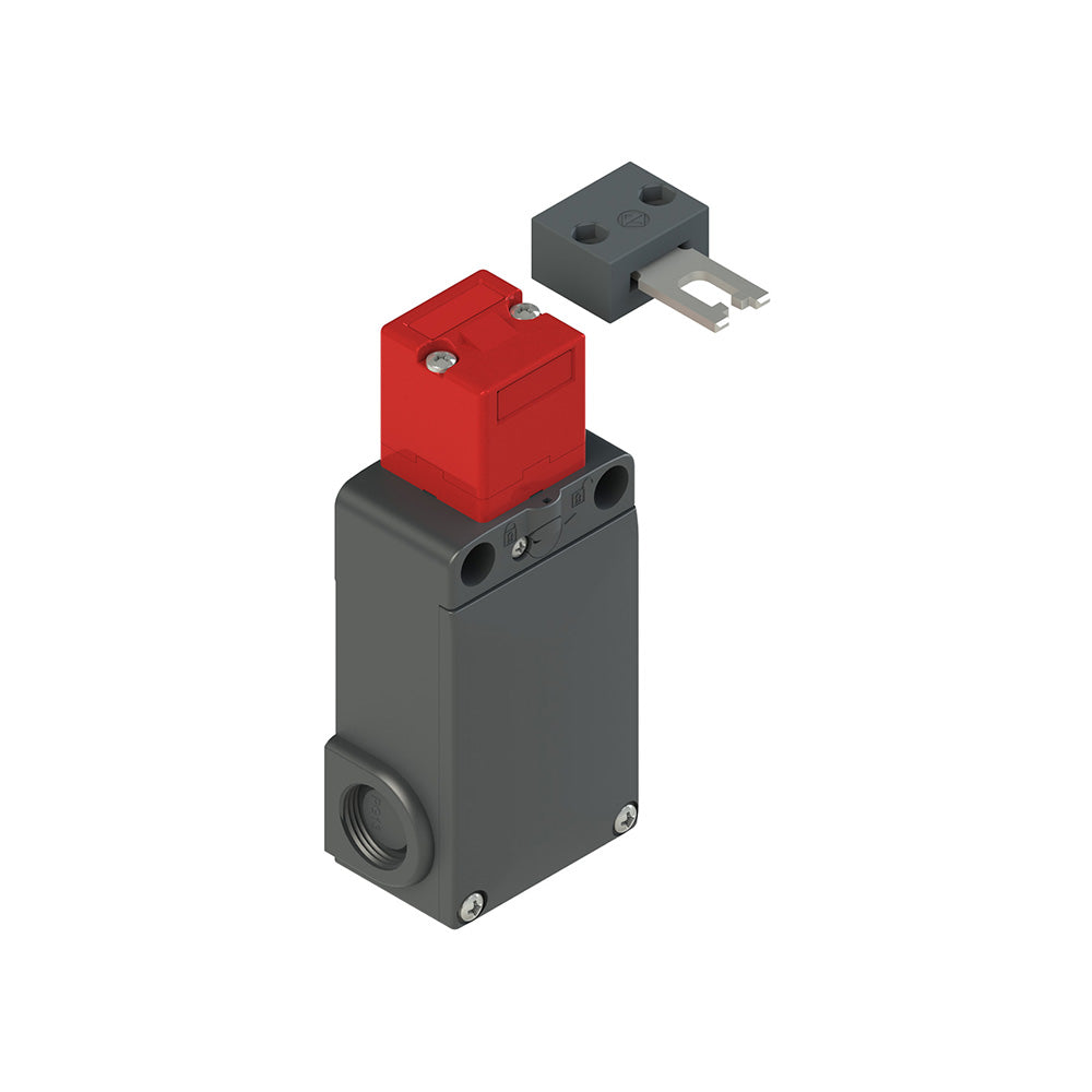 Pizzato FS 2096D024-F2M2