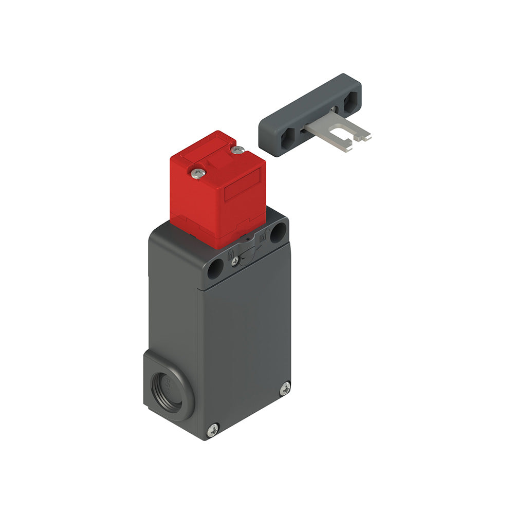 Pizzato FS 2996D024-F7M2