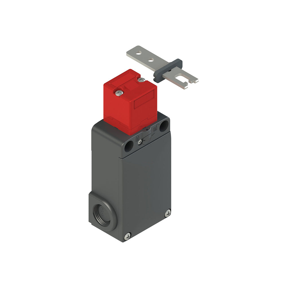 Pizzato FS 2896D024-FK21