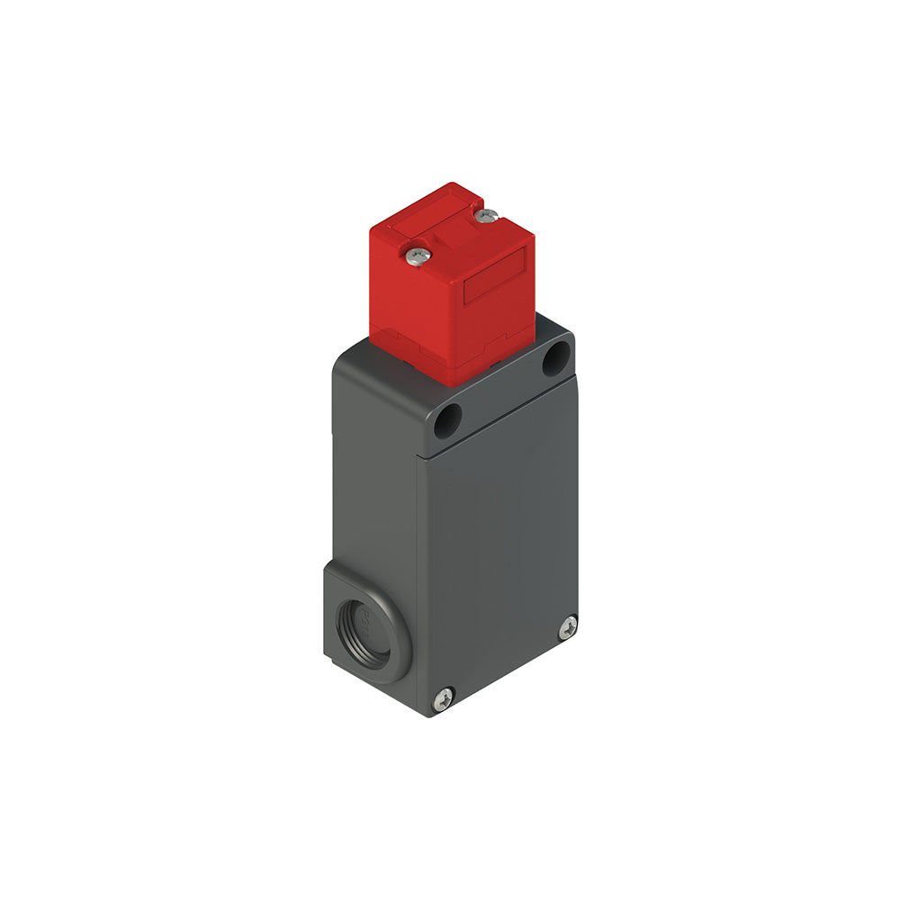 Pizzato FS 2996E024-K40