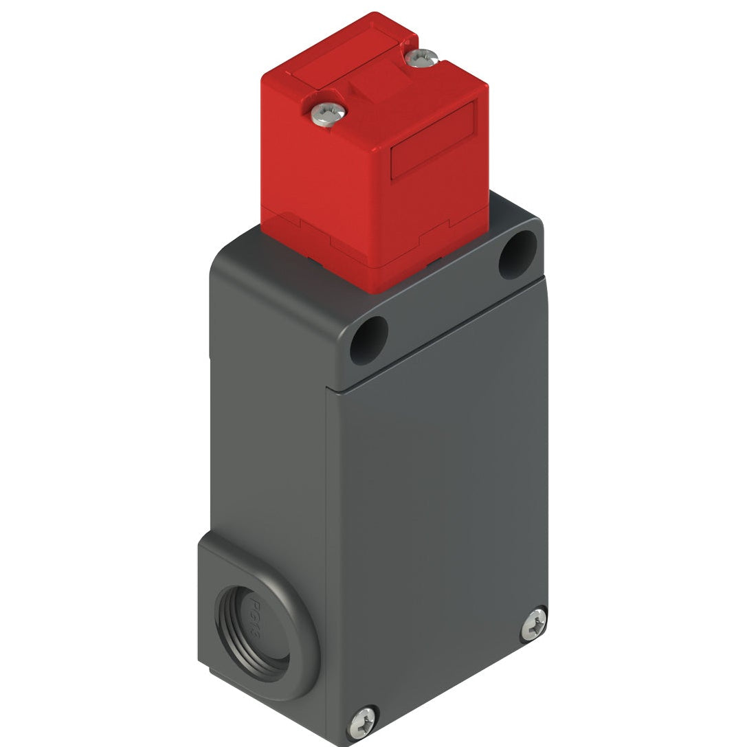 Pizzato FS 3096E024-M2 Safety switch with solenoid lock