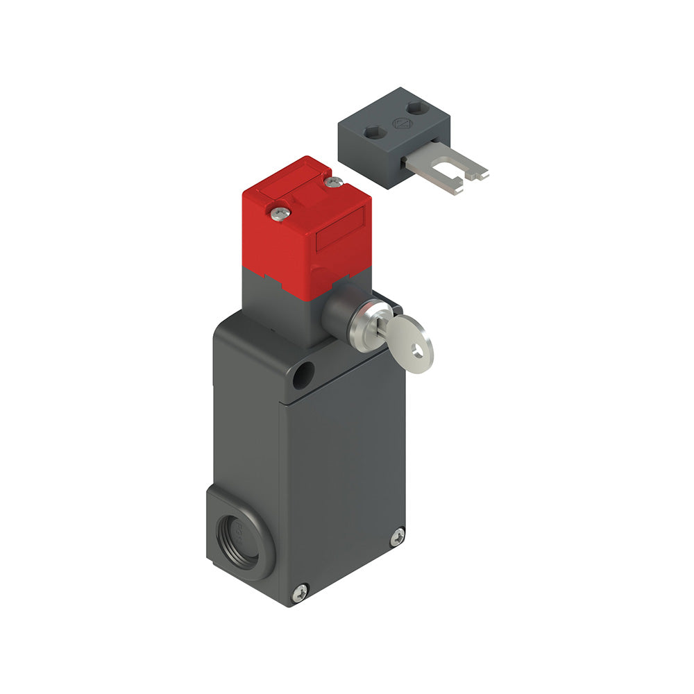 Pizzato FS 2898D024-F2M2