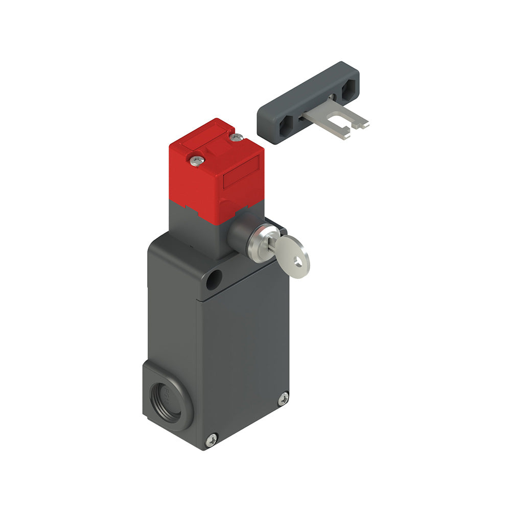 Pizzato FS 2098D024-F7