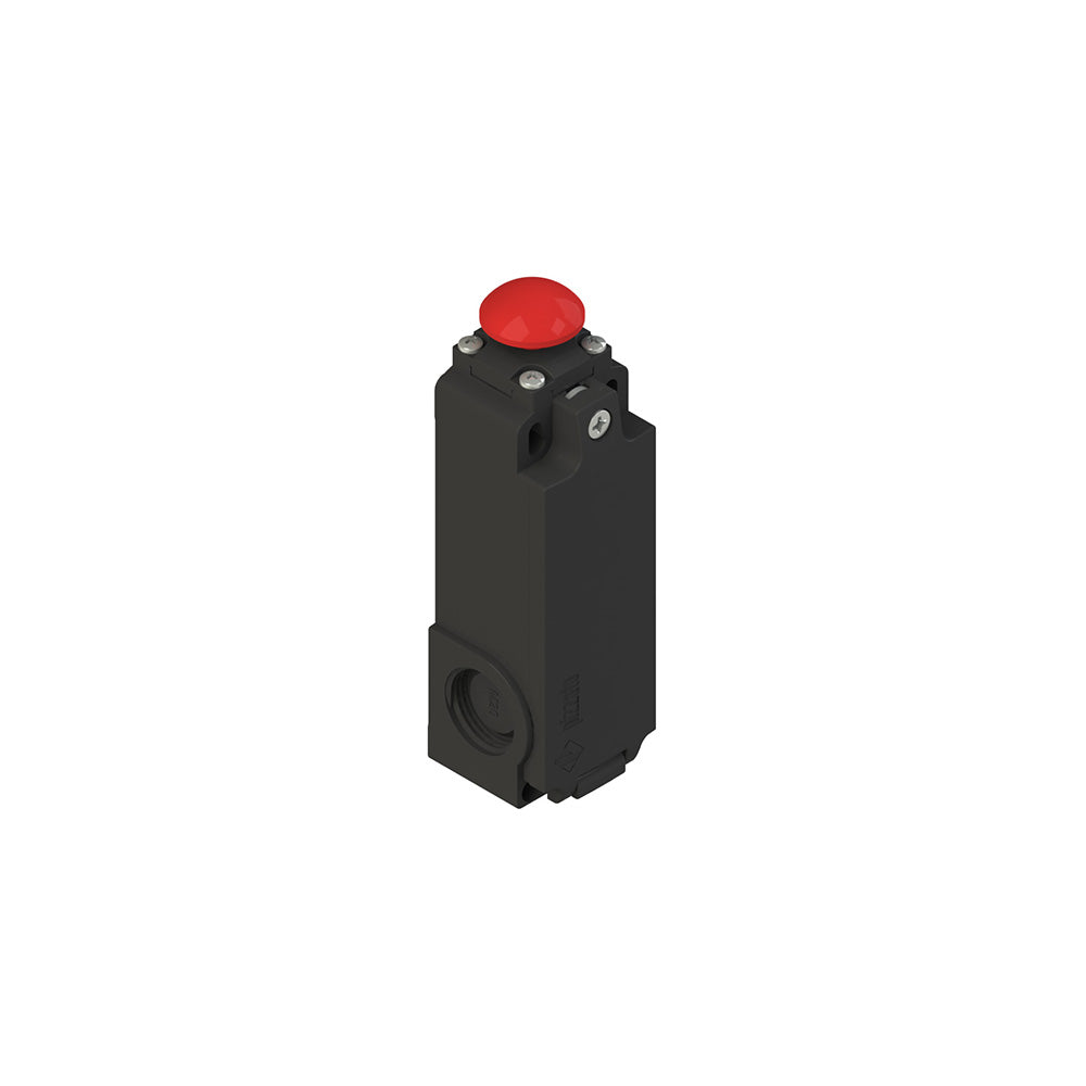Pizzato FT 2A6314AH-E27