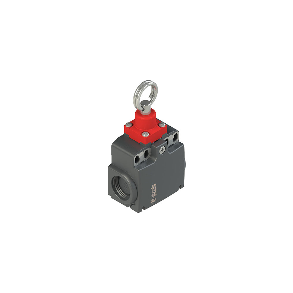 Pizzato FX 874-M2