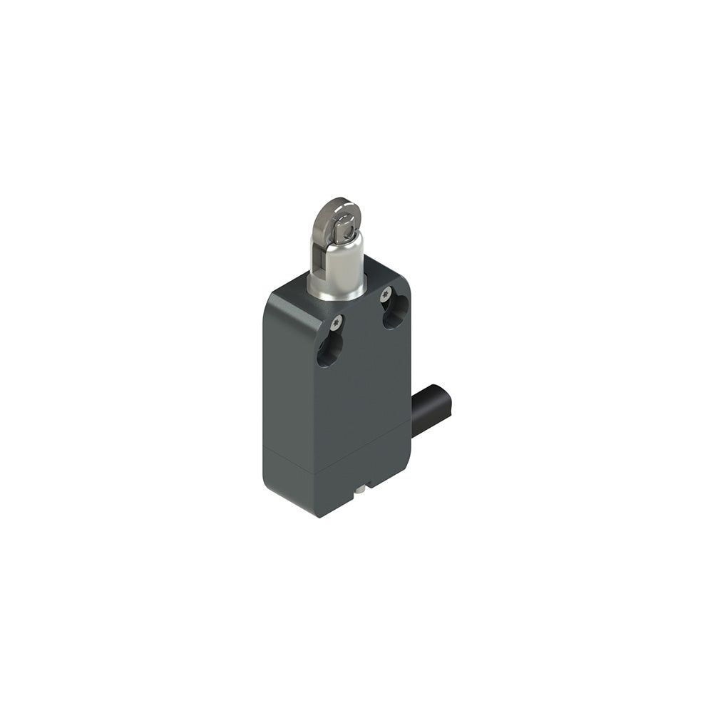 Pizzato NA G110BB-DN3