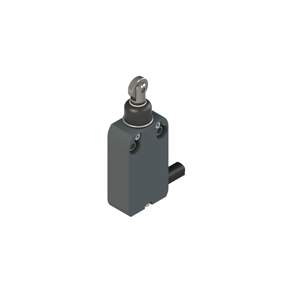 Pizzato NF G110BG-DN2