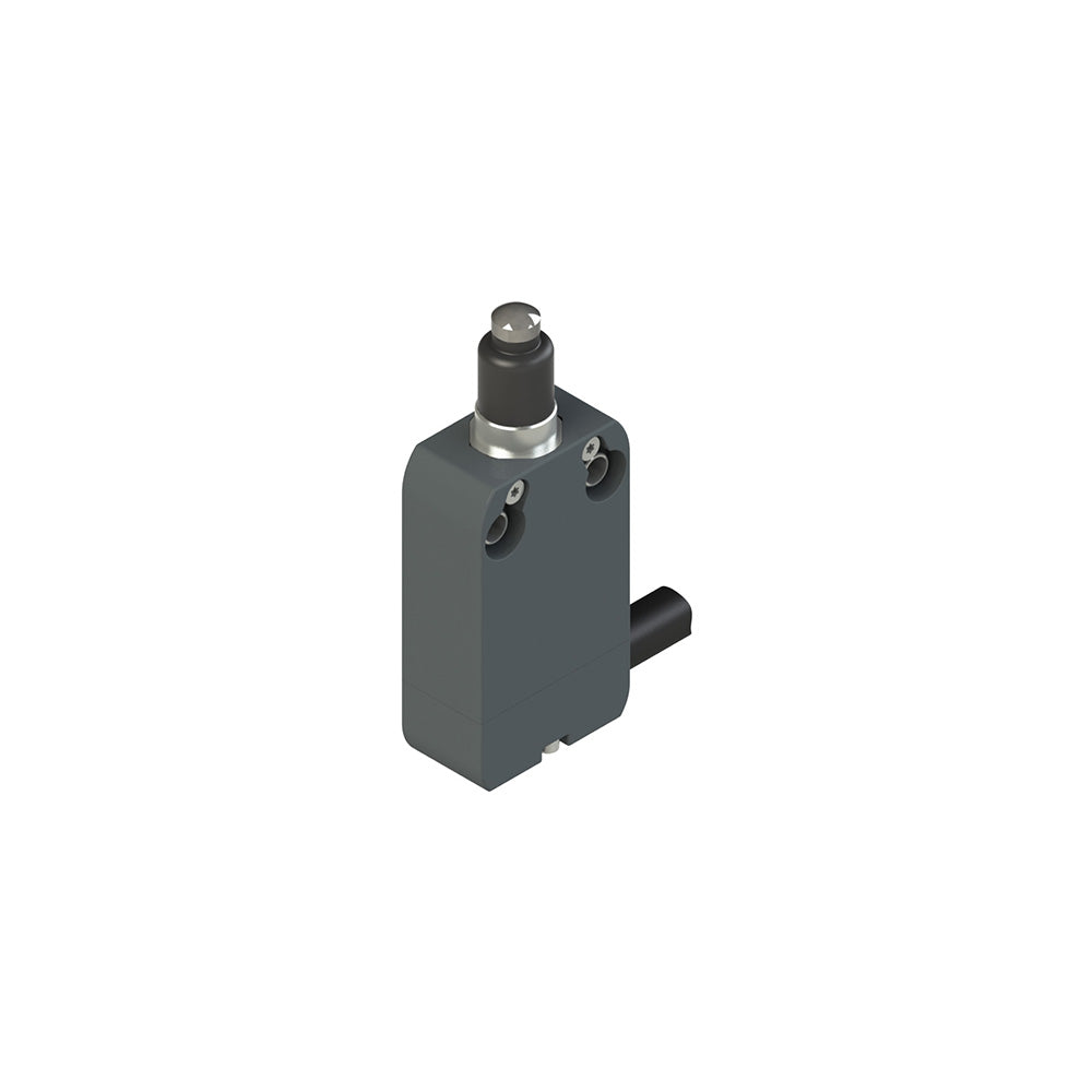 Pizzato NF B110AE-DM0.2