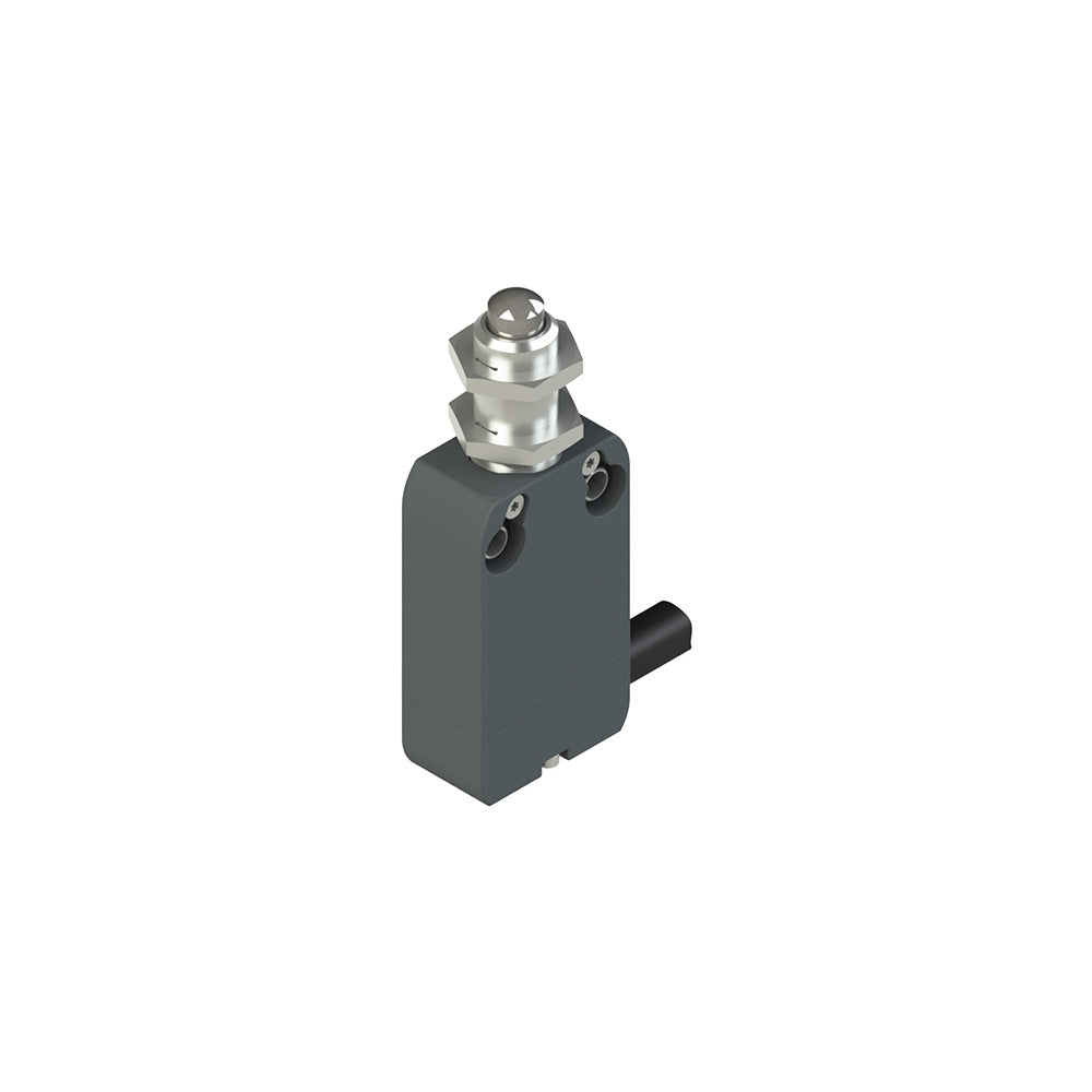 Pizzato NF G110EB-DN6