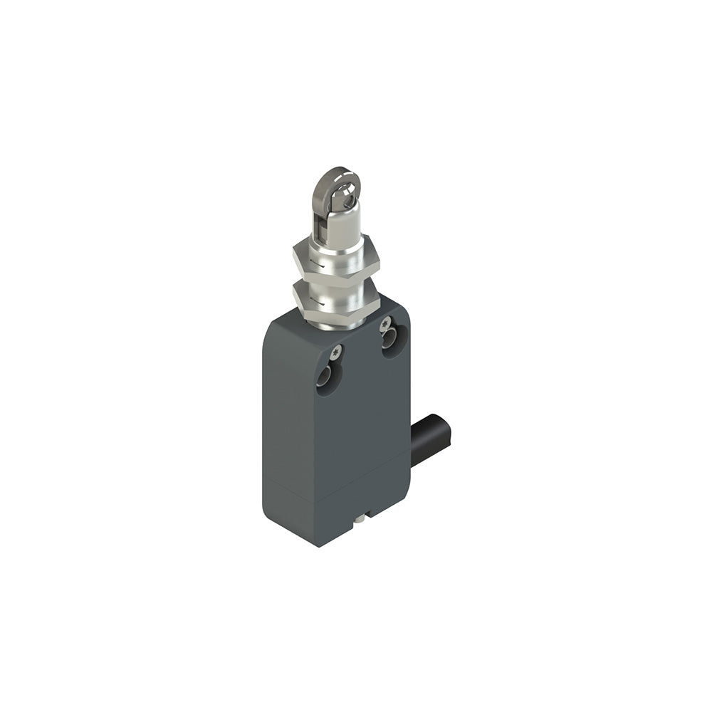Pizzato NF B110FB-DN0.25