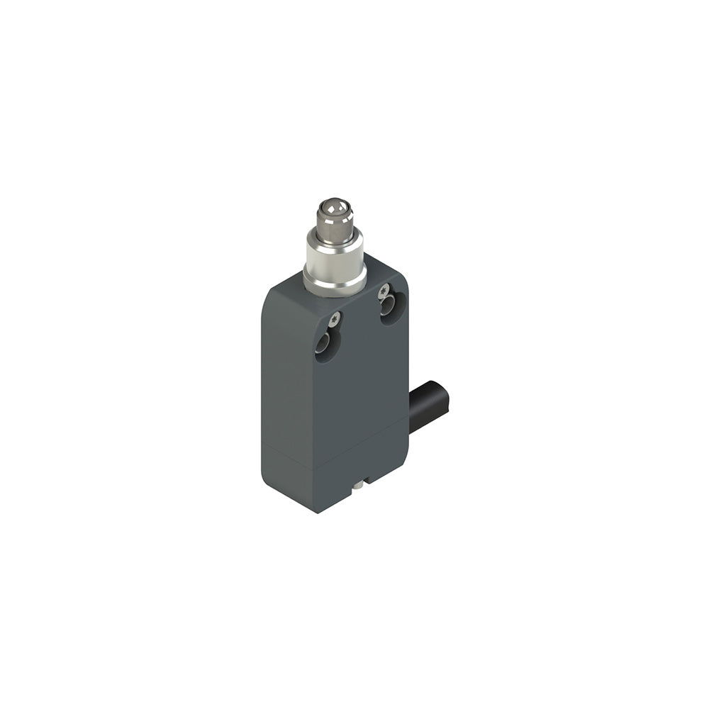 Pizzato NF B120GB-DN2