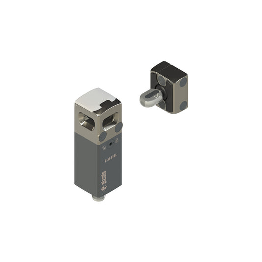 Pizzato NX P42AZ2SMK-F71